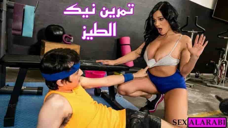 سكس نيك شرالأمط طيز مترجم – تمرين نيك شرالأمط الطيز مترجم