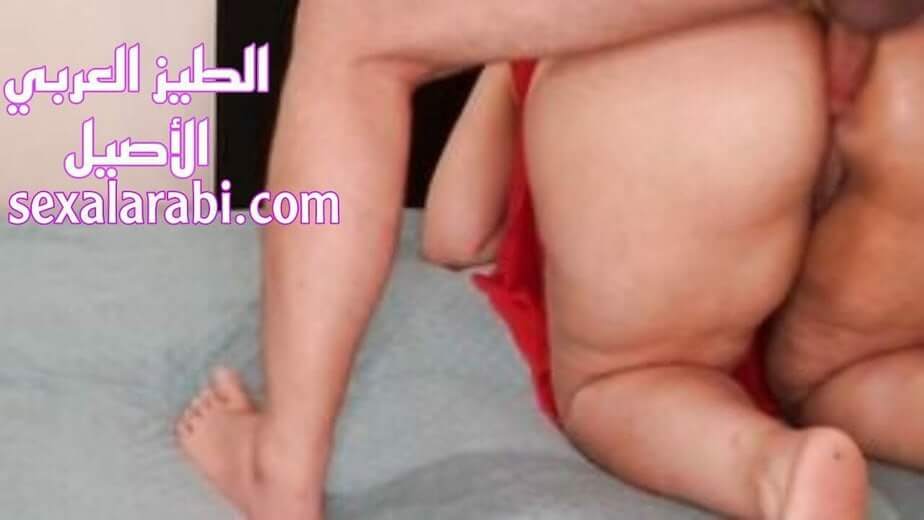 نيك شرالأمط طيز عربي اصيل
